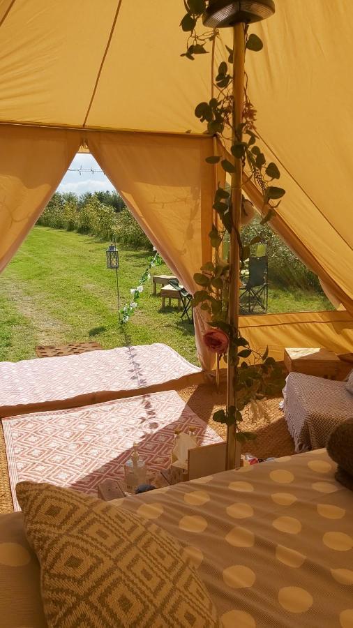 Hopgarden Glamping - Luxury 6M Bell Tent Wadhurst Экстерьер фото