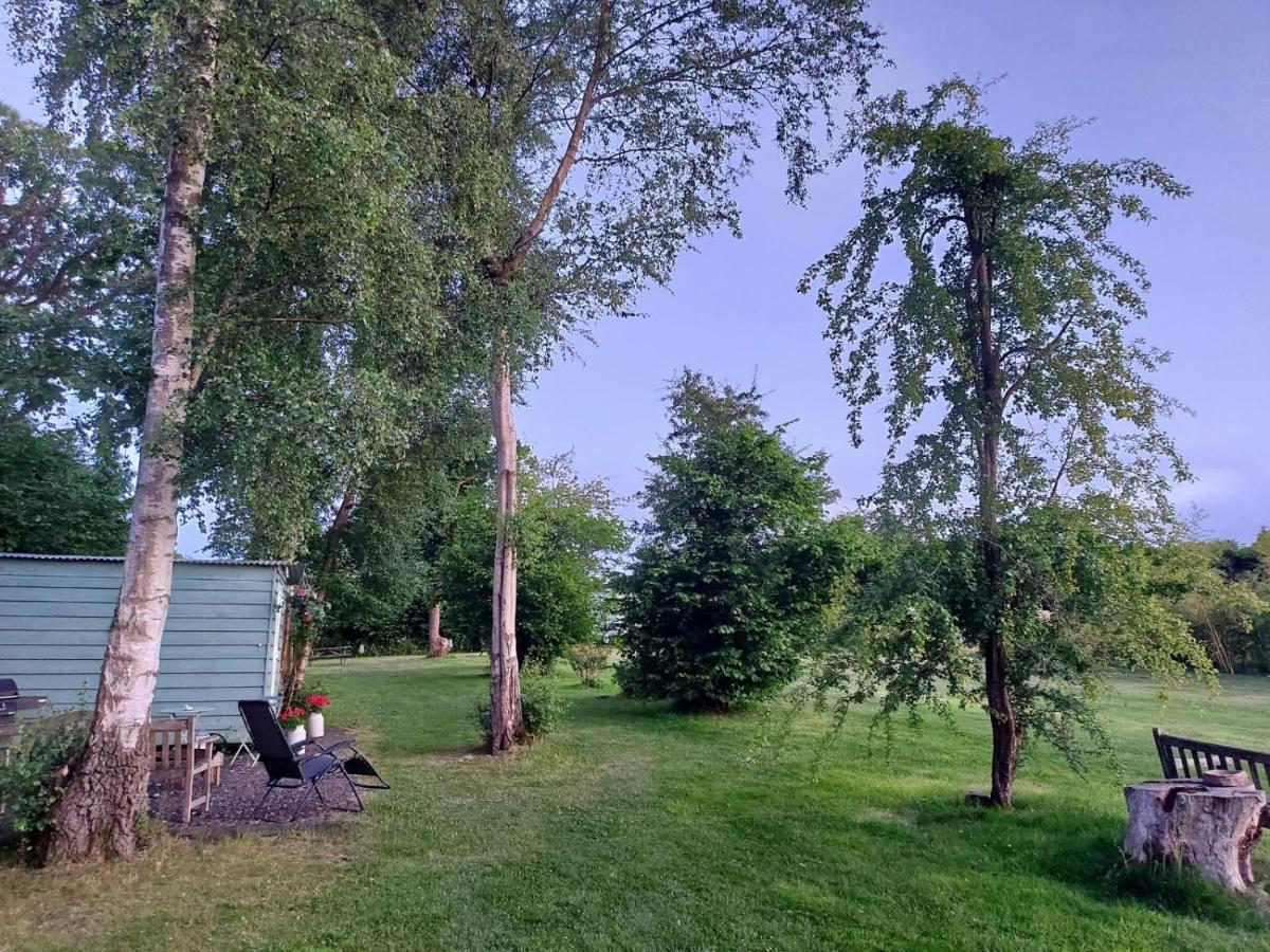 Hopgarden Glamping - Luxury 6M Bell Tent Wadhurst Экстерьер фото